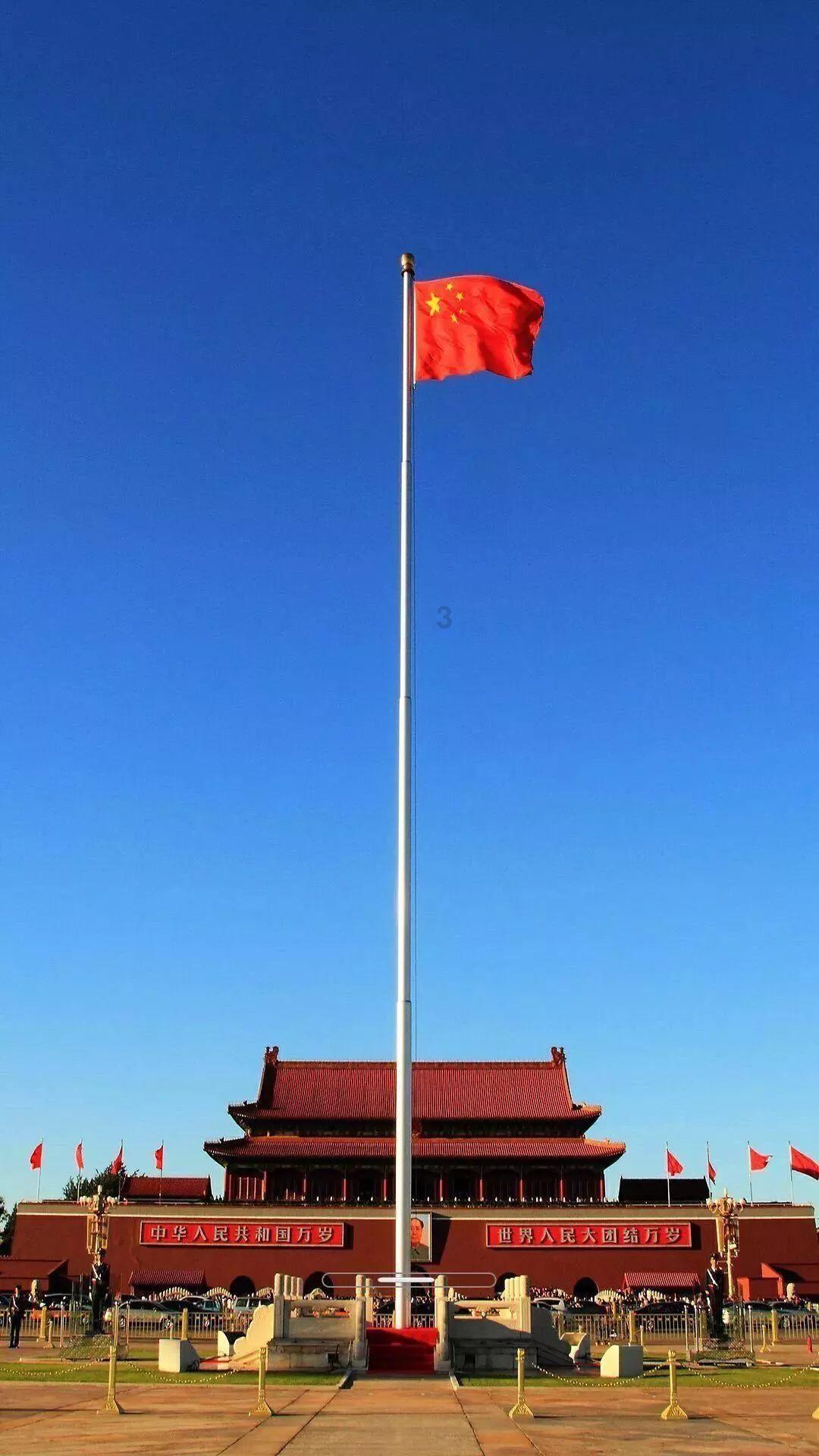 吃金币的猫